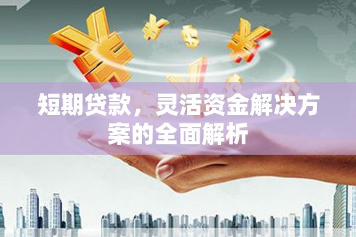 察雅短期贷款，灵活资金解决方案的全面解析