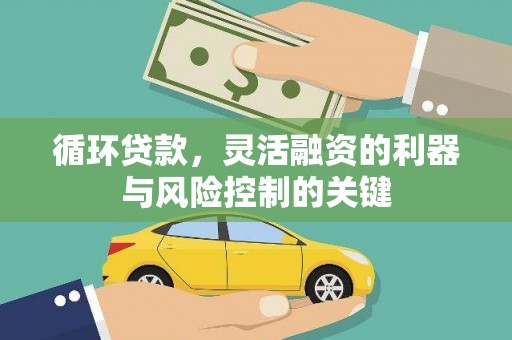察雅循环贷款，灵活融资的利器与风险控制的关键