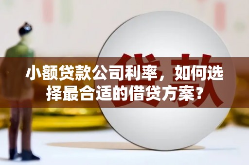 察雅小额贷款公司利率，如何选择最合适的借贷方案？
