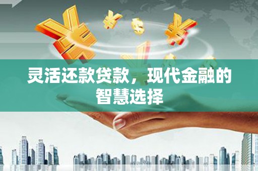 察雅灵活还款贷款，现代金融的智慧选择