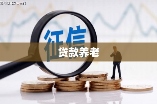 察雅贷款养老