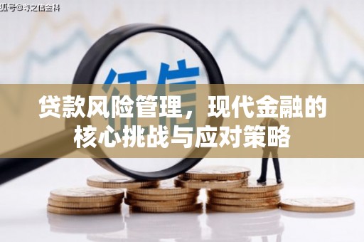 察雅贷款风险管理，现代金融的核心挑战与应对策略