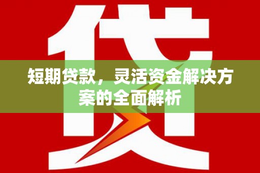察雅短期贷款，灵活资金解决方案的全面解析