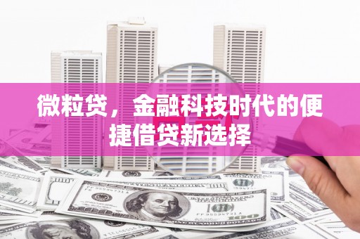 察雅微粒贷，金融科技时代的便捷借贷新选择