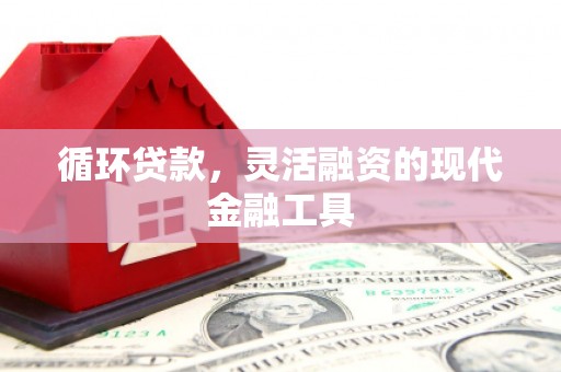 察雅循环贷款，灵活融资的现代金融工具
