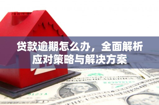 察雅贷款逾期怎么办，全面解析应对策略与解决方案
