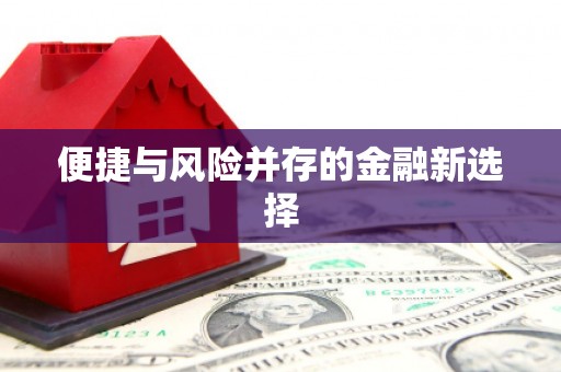 察雅便捷与风险并存的金融新选择