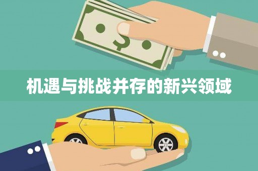 察雅机遇与挑战并存的新兴领域