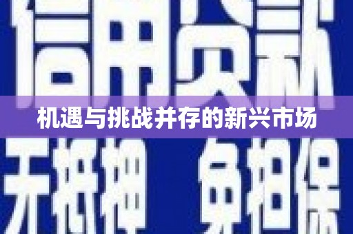 察雅机遇与挑战并存的新兴市场