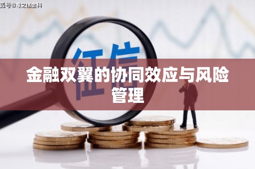 察雅金融双翼的协同效应与风险管理