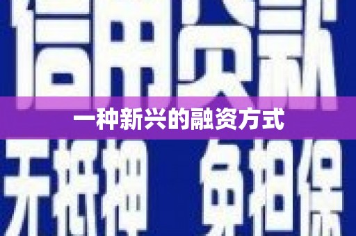 察雅一种新兴的融资方式