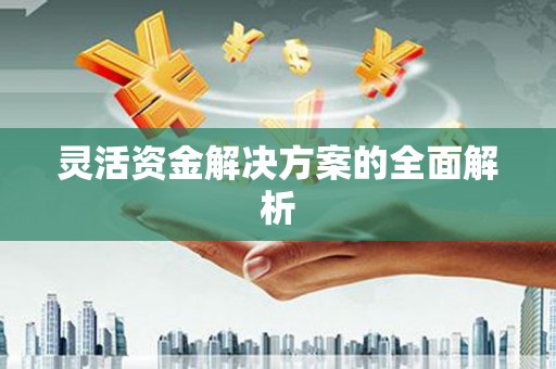 察雅灵活资金解决方案的全面解析