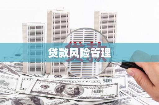 察雅贷款风险管理