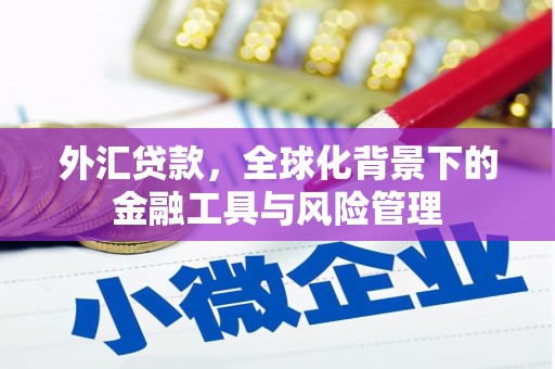 察雅外汇贷款，全球化背景下的金融工具与风险管理
