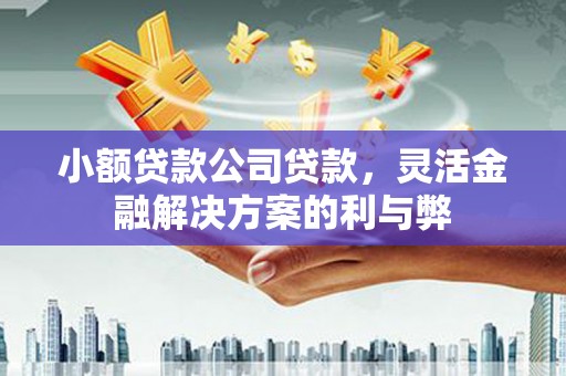 察雅小额贷款公司贷款，灵活金融解决方案的利与弊